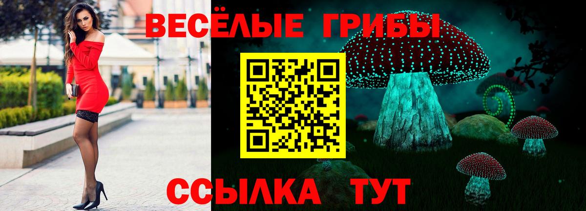 Галлюциногенные грибы MAGIC MUSHROOMS Тулун