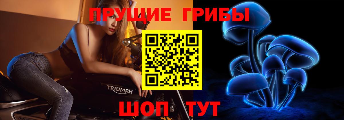 Тулун  Псилоцибиновые грибы Psilocybine cubensis  Вход с VPN 